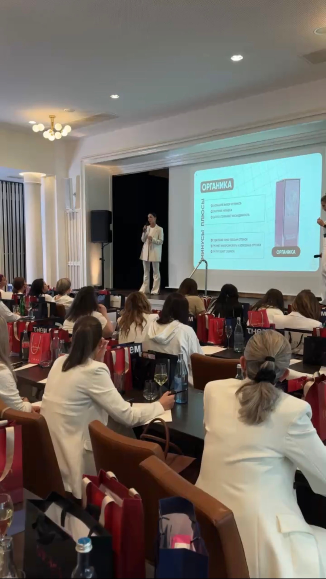 Marija Meshka on stage teaching pigment theory to PMU artists